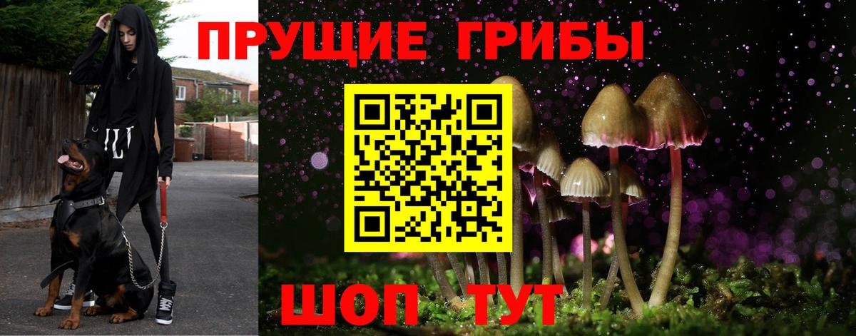 Псилоцибиновые грибы ЛСД Пыть-Ях