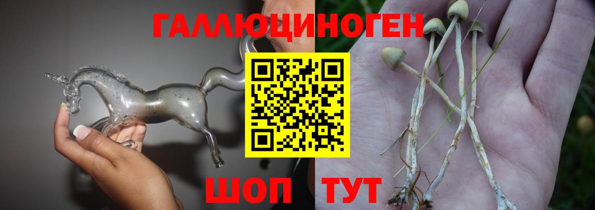Галлюциногенные грибы прущие грибы  Галлюциногенные грибы Magic Shrooms  Пыть-Ях  Вход с VPN 